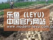 种植基地八