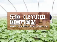种植基地三