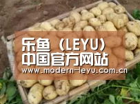 产品展示标题3