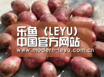 产品展示标题5