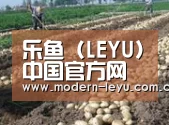 种植基地七(图1)