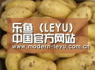 产品展示标题6