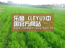 种植基地四