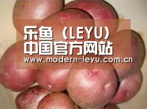 产品展示标题1