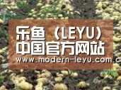种植基地七