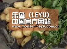 产品展示标题4