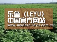 种植基地五