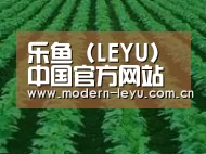 种植基地六(图1)