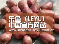 产品展示标题5(图1)