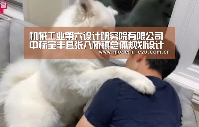 机械工业第六设计研究院有限公司中标宝丰县张八桥镇总体规划设计项目【乐鱼官方网站地址】(图2) 下载