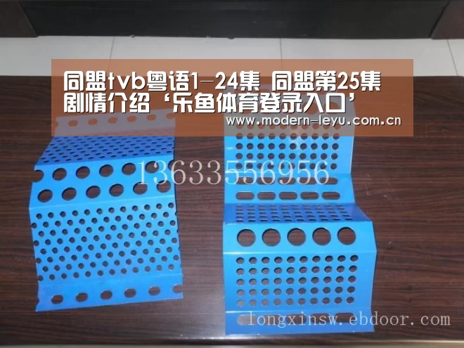 同盟tvb粤语1-24集 同盟第25集剧情介绍‘乐鱼体育登录入口’(图1) 乐鱼体育登录入口