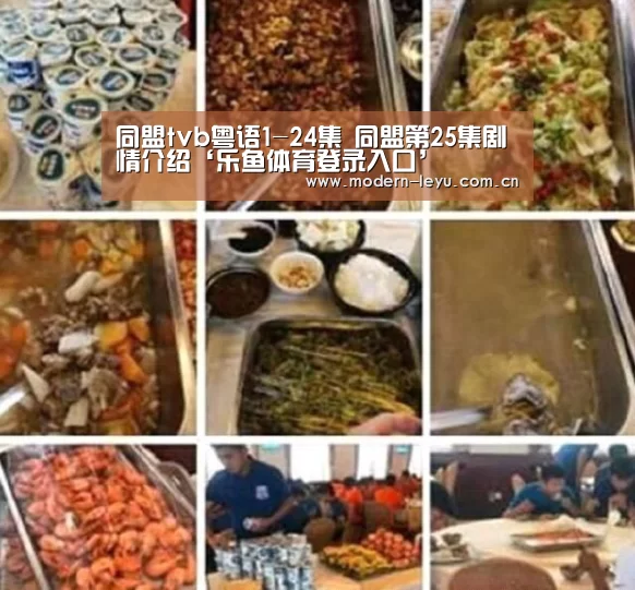 同盟tvb粤语1-24集 同盟第25集剧情介绍‘乐鱼体育登录入口’(图2) 下载