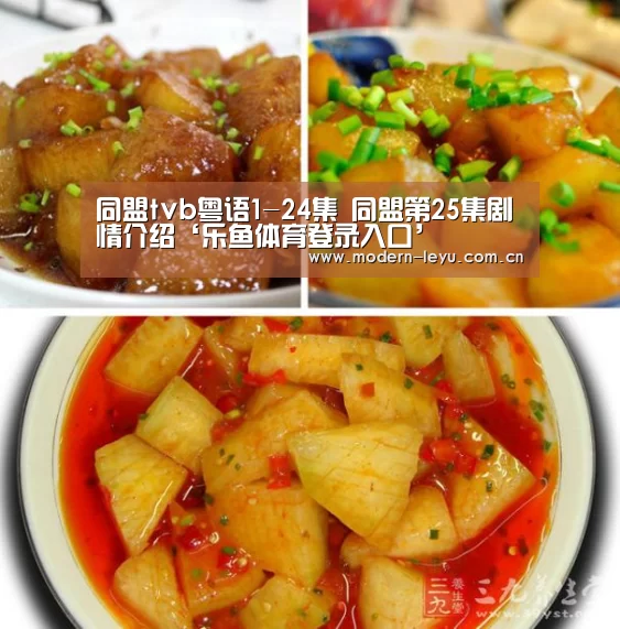 同盟tvb粤语1-24集 同盟第25集剧情介绍‘乐鱼体育登录入口’(图3) 乐鱼官方网站地址