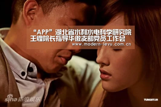 “APP”湖北省水利水电科学研究院王煌院长指导华傲支部党员工作会议暨2016年“红旗支部”创建活动(图4) 乐鱼体育登录入口