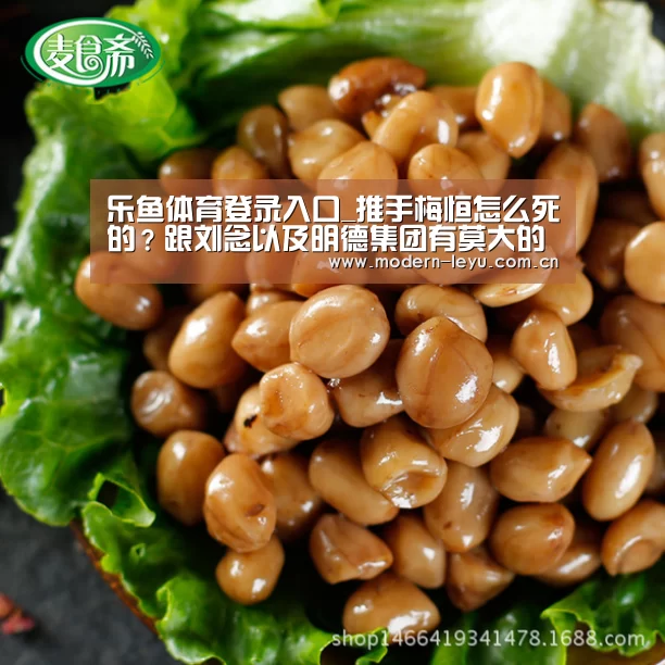 乐鱼体育登录入口_推手梅恒怎么死的?跟刘念以及明德集团有莫大的关系(图2) 乐鱼体育登录入口