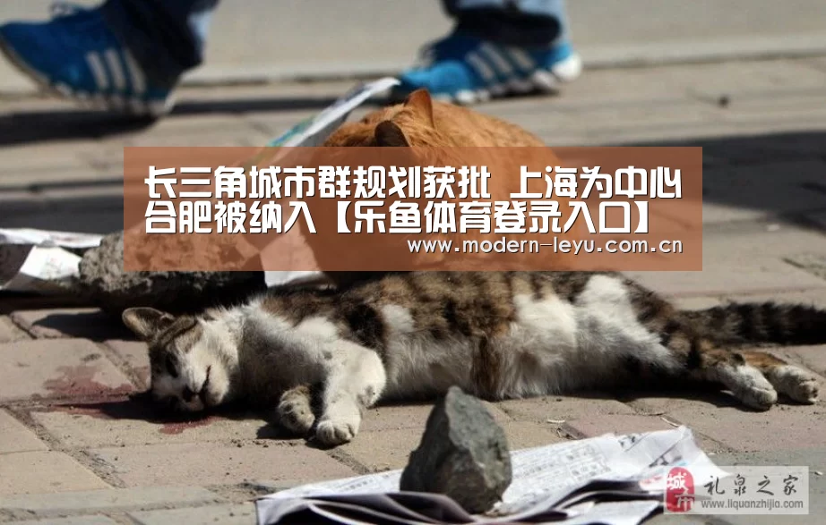 长三角城市群规划获批 上海为中心合肥被纳入【乐鱼体育登录入口】(图2) 乐鱼体育登录入口