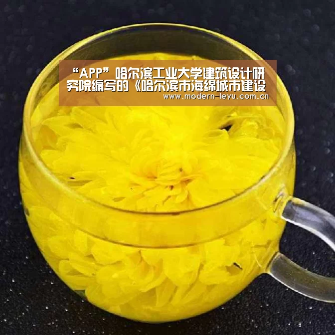“APP”哈尔滨工业大学建筑设计研究院编写的《哈尔滨市海绵城市建设技术导则(试行)》正式发布实施(图1) “APP”哈尔滨工业大学建筑设计研究院编写的《哈尔滨市海绵城市建设技术导则(试行)》正式发布实施(图1)