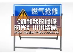《你和我的倾城时光》小说结局是什么?林浅结局怎么样?-乐鱼体育登录入口(图2) 《你和我的倾城时光》小说结局是什么?林浅结局怎么样?-乐鱼体育登录入口(图2)