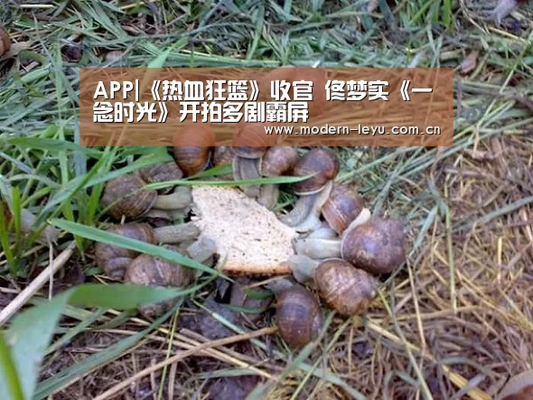 APP|《热血狂篮》收官 佟梦实《一念时光》开拍多剧霸屏(图2)