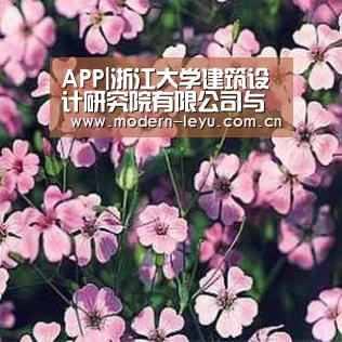 APP|浙江大学建筑设计研究院有限公司与武林装饰集团小城镇改造战略合作签约仪式举行(图4) 下载