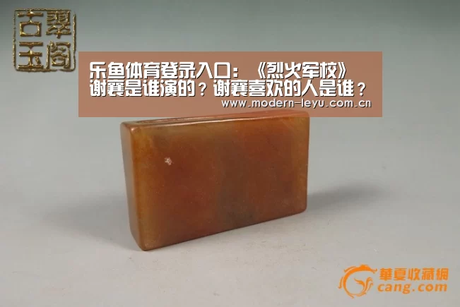 乐鱼体育登录入口:《烈火军校》谢襄是谁演的?谢襄喜欢的人是谁?(图3) 乐鱼体育登录入口